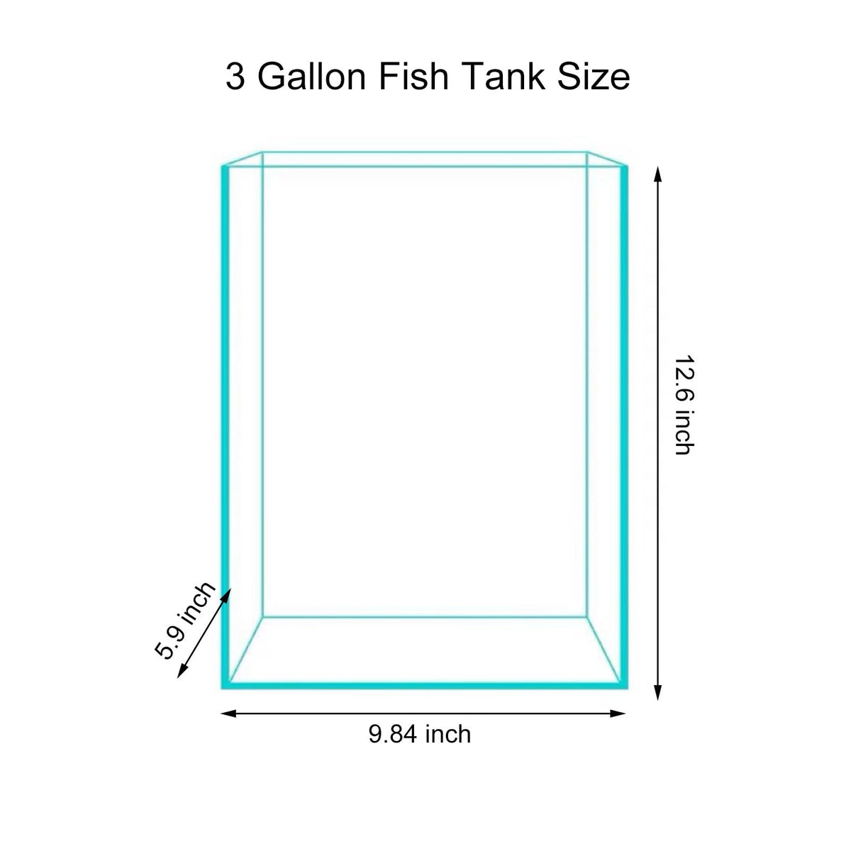 3 Gallon Glass Fish Tank F542557