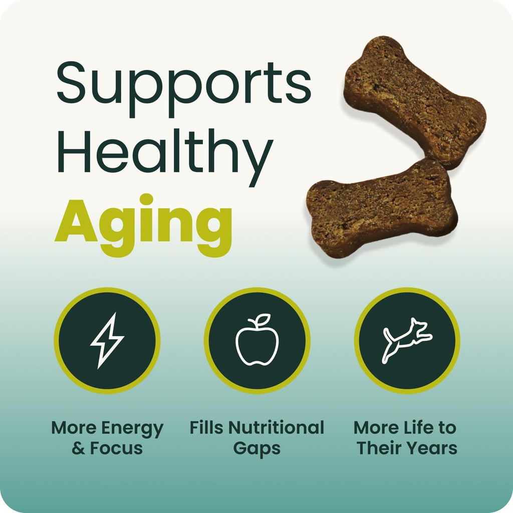 Senior Multivitamin for Dogs, 60 Count K5900