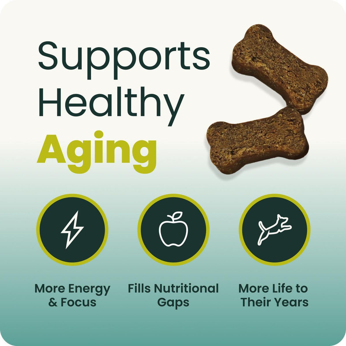 Senior Multivitamin for Dogs, 60 Count K5900