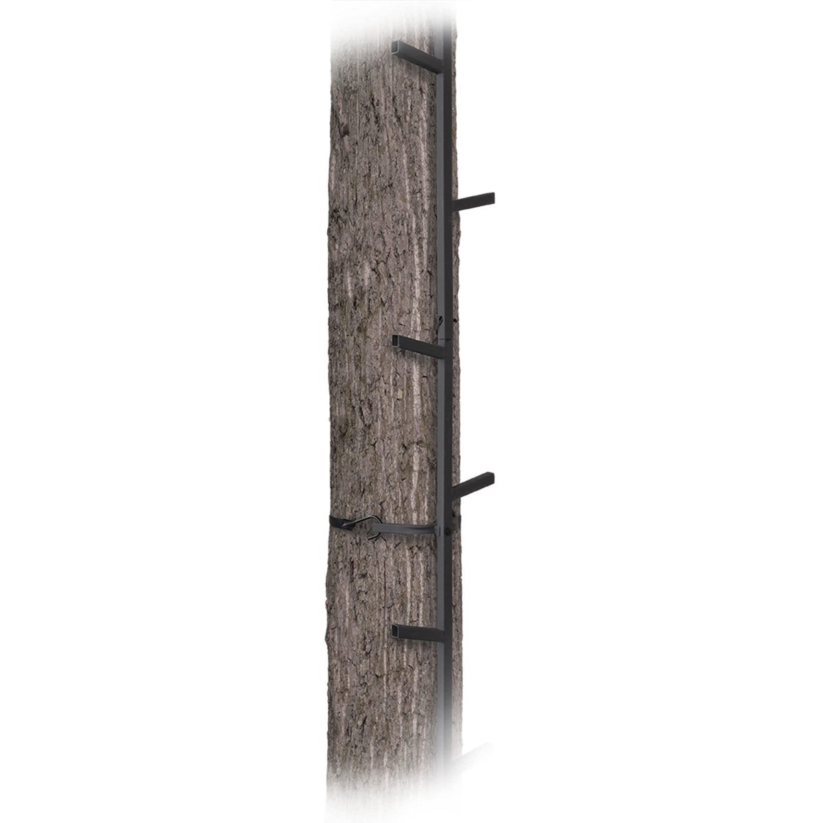 Climbing Ladder Sticks D1031