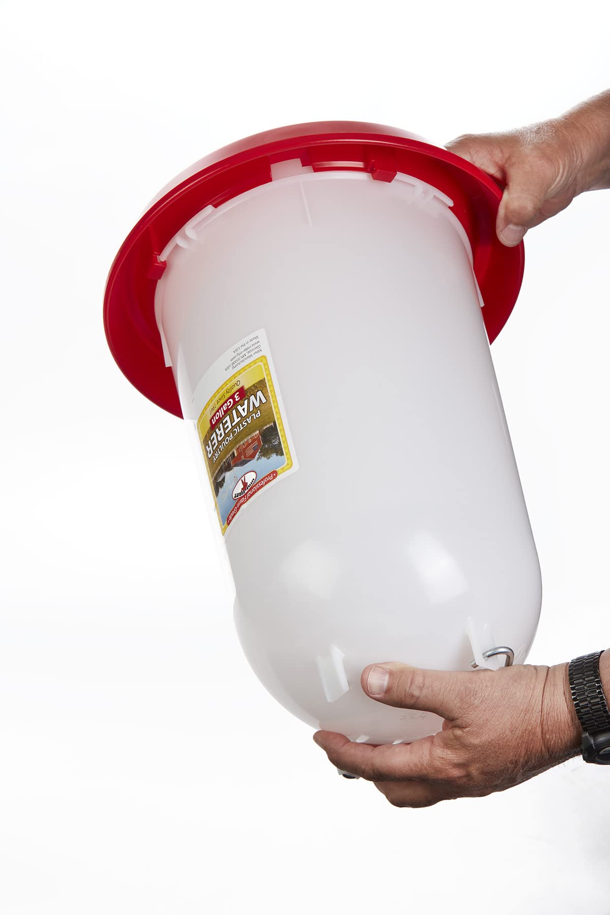 3 Gallon Plastic Poultry Waterer with Handle V6010