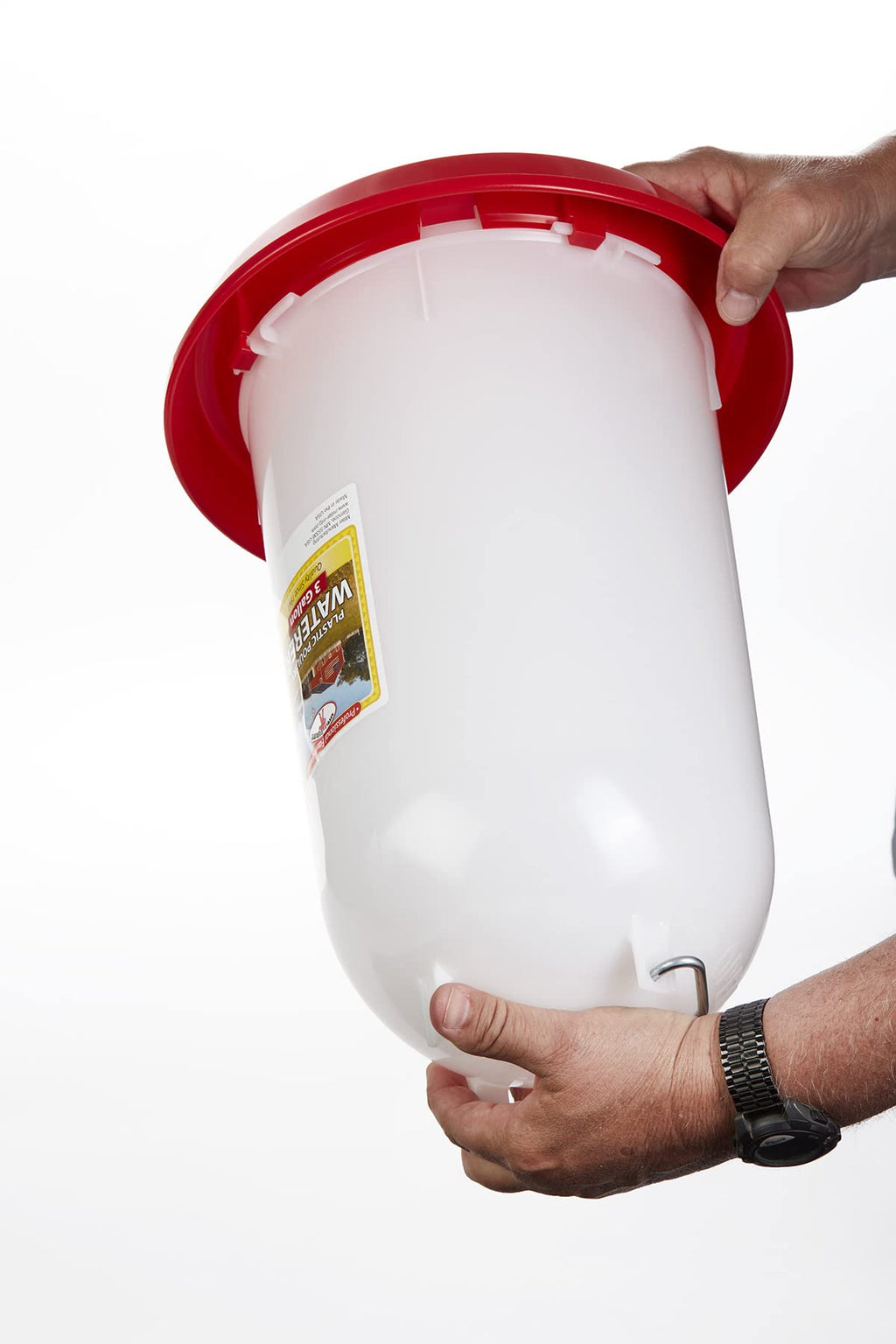 3 Gallon Plastic Poultry Waterer with Handle V6010