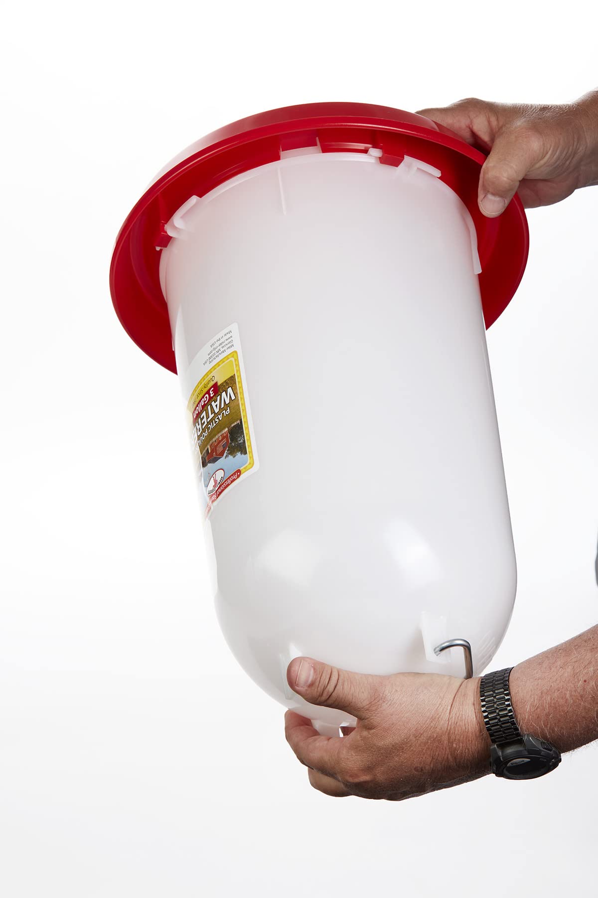 3 Gallon Plastic Poultry Waterer with Handle V6010