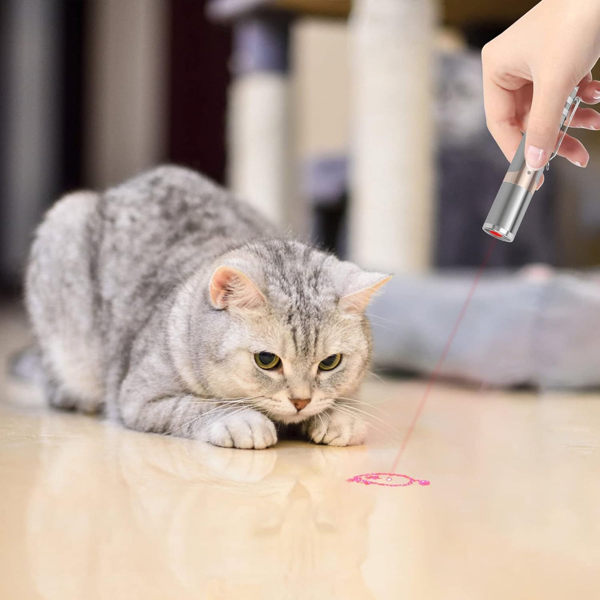 Cat Toys, 2 Pieces, Rechargeable, 7 Adjustable Patterns P59069