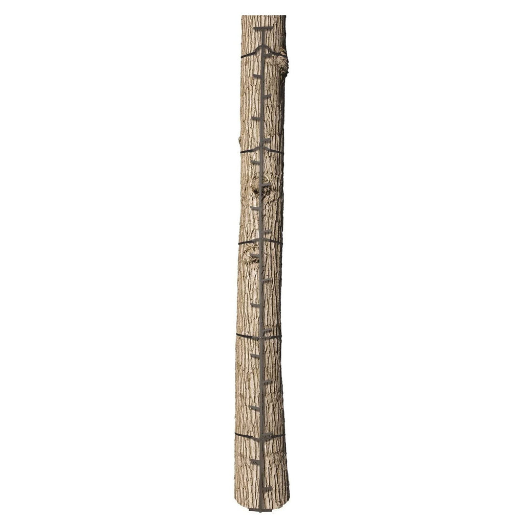 Climbing Ladder Sticks D1031