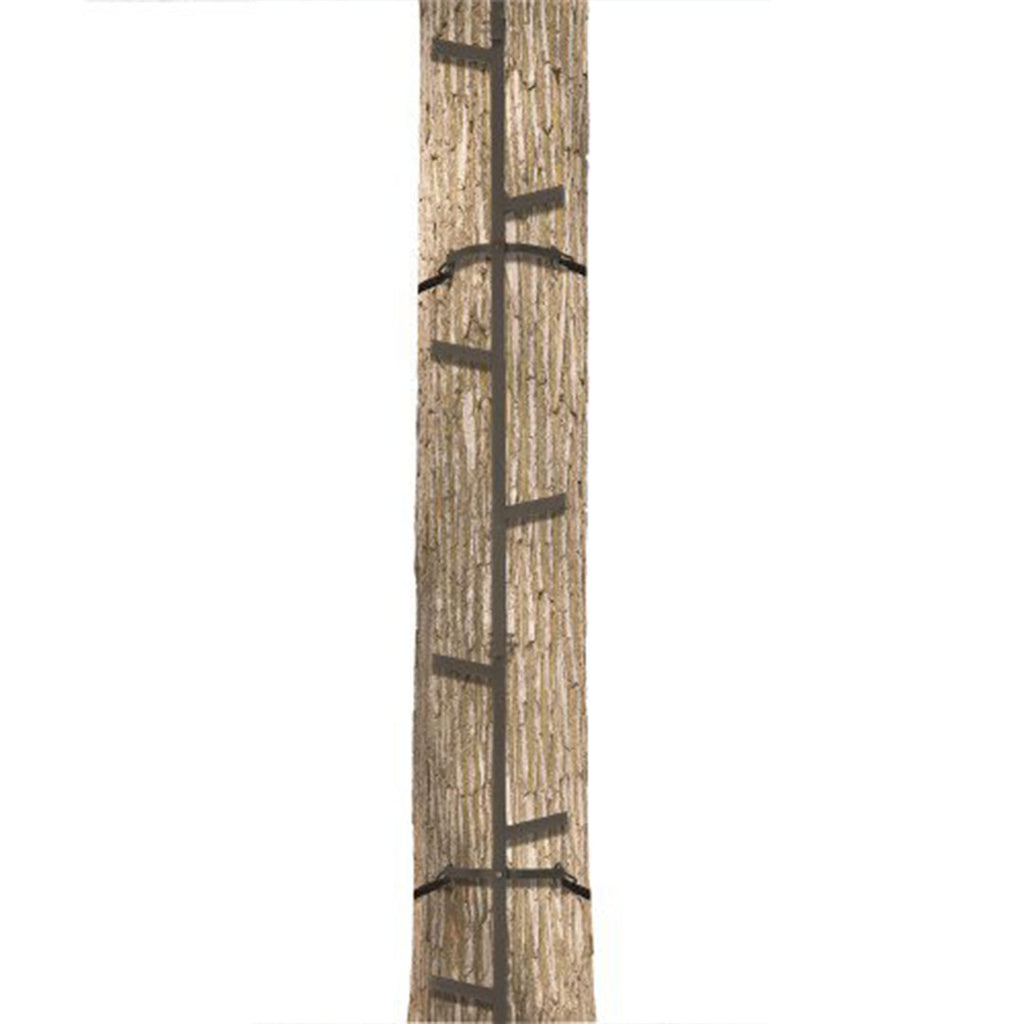 Climbing Ladder Sticks D1031