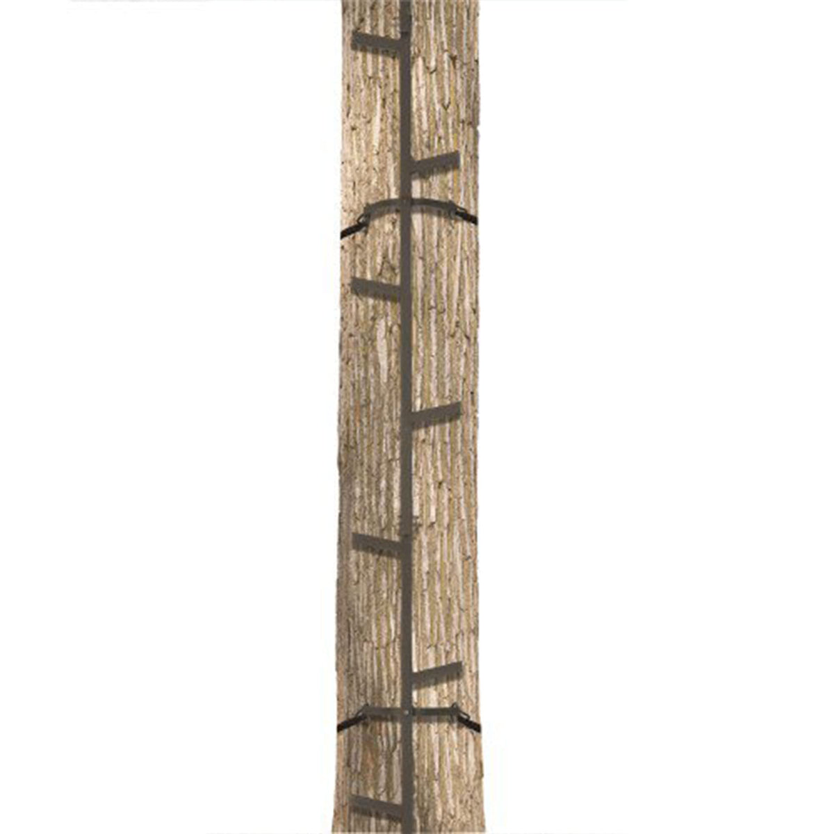 Climbing Ladder Sticks D1031