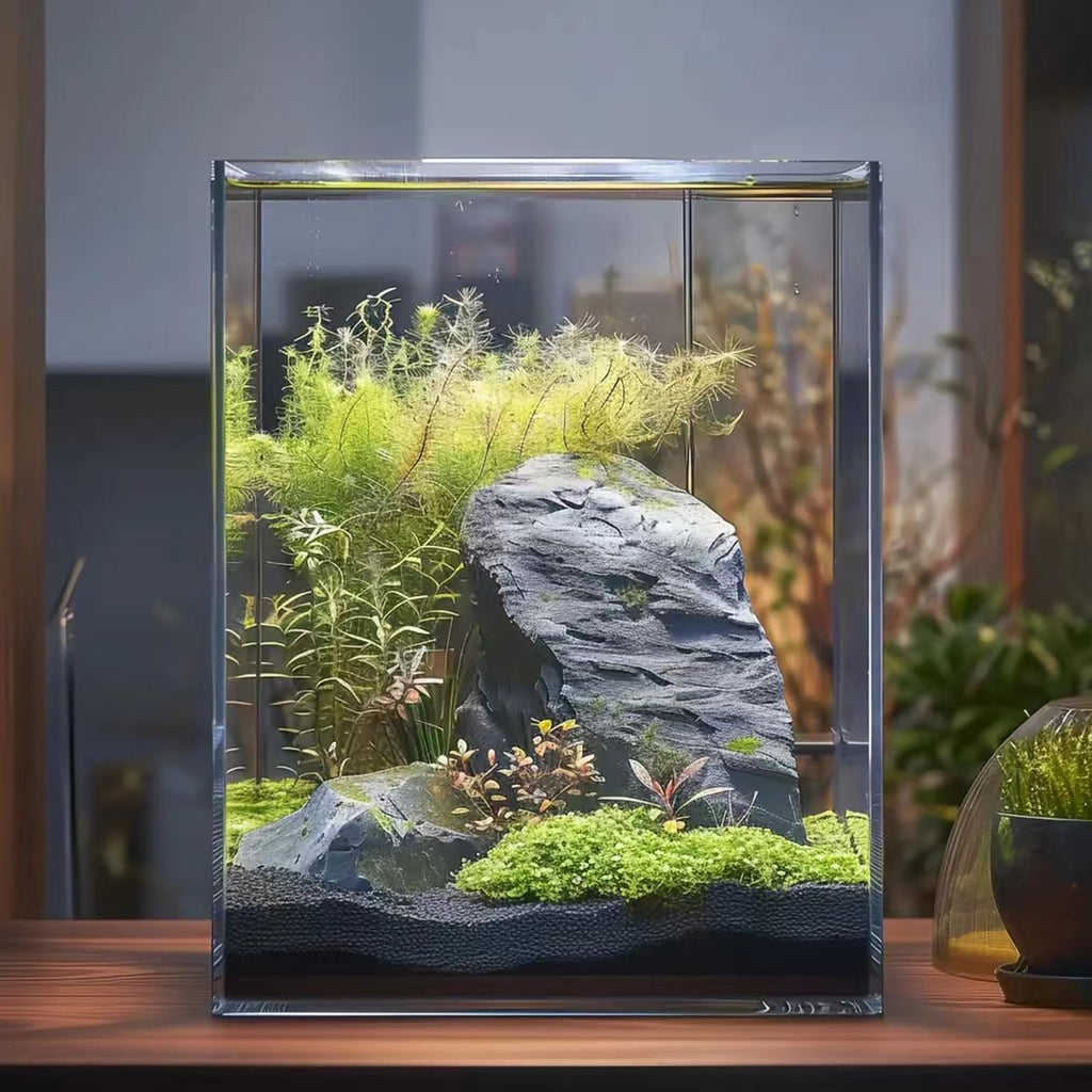 3 Gallon Glass Fish Tank F542557