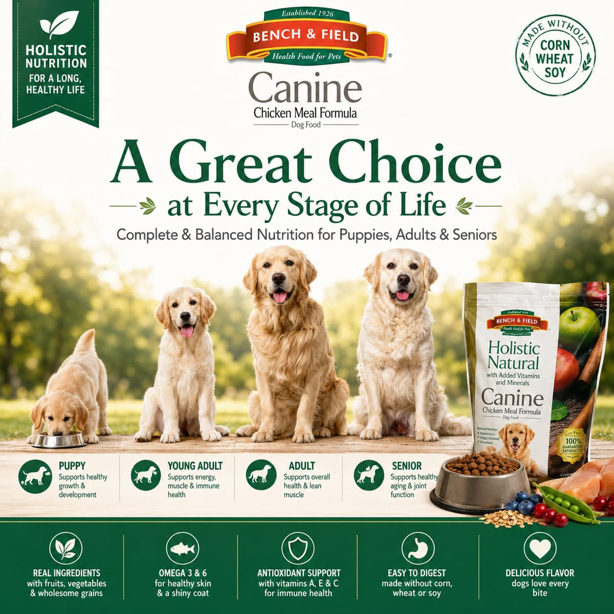 Chicken Meal & Brown Rice Dry Dog Food 6.6 lb U40438