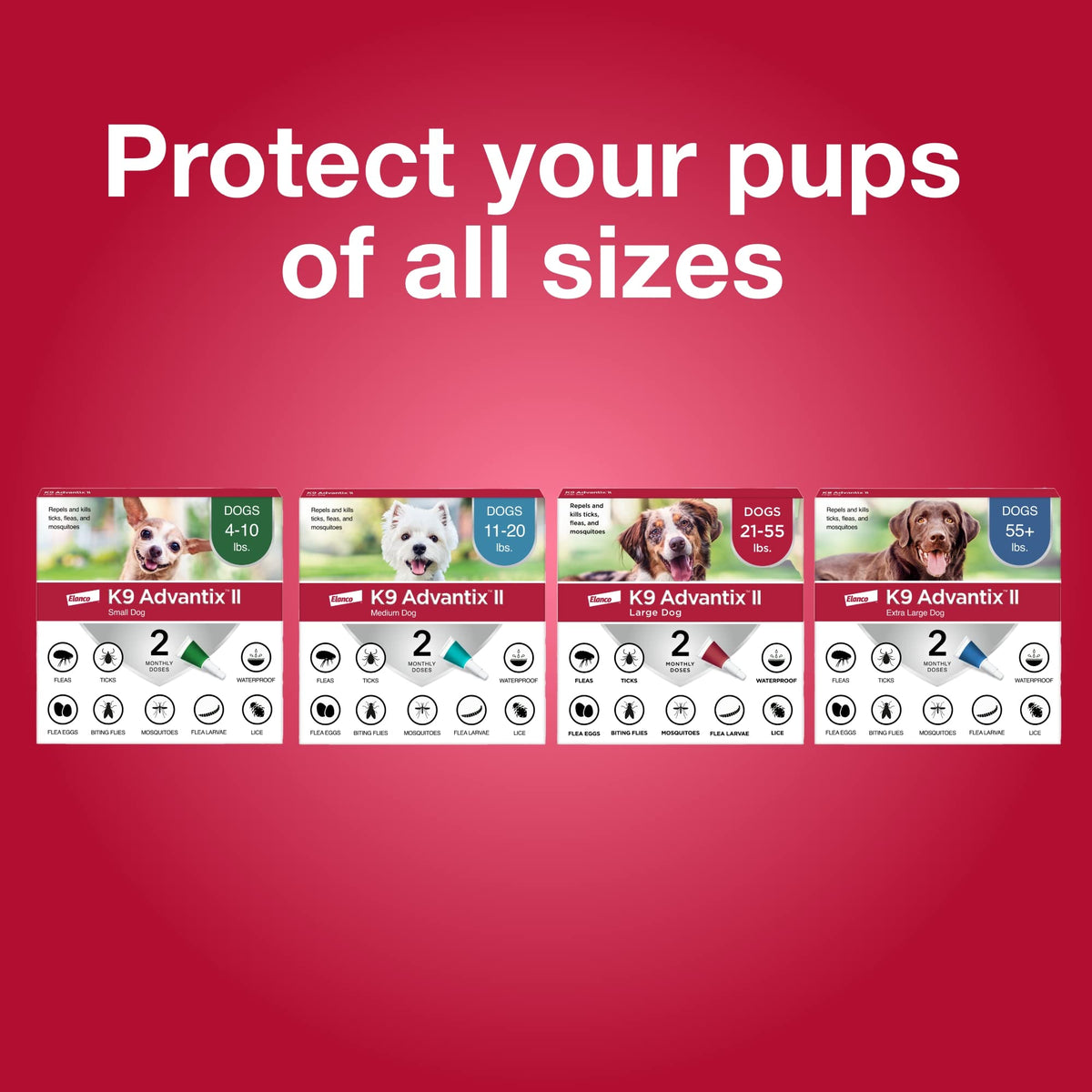 Flea, Tick & Mosquito Treatment & Prevention for Dogs Over 55 lbs U4775