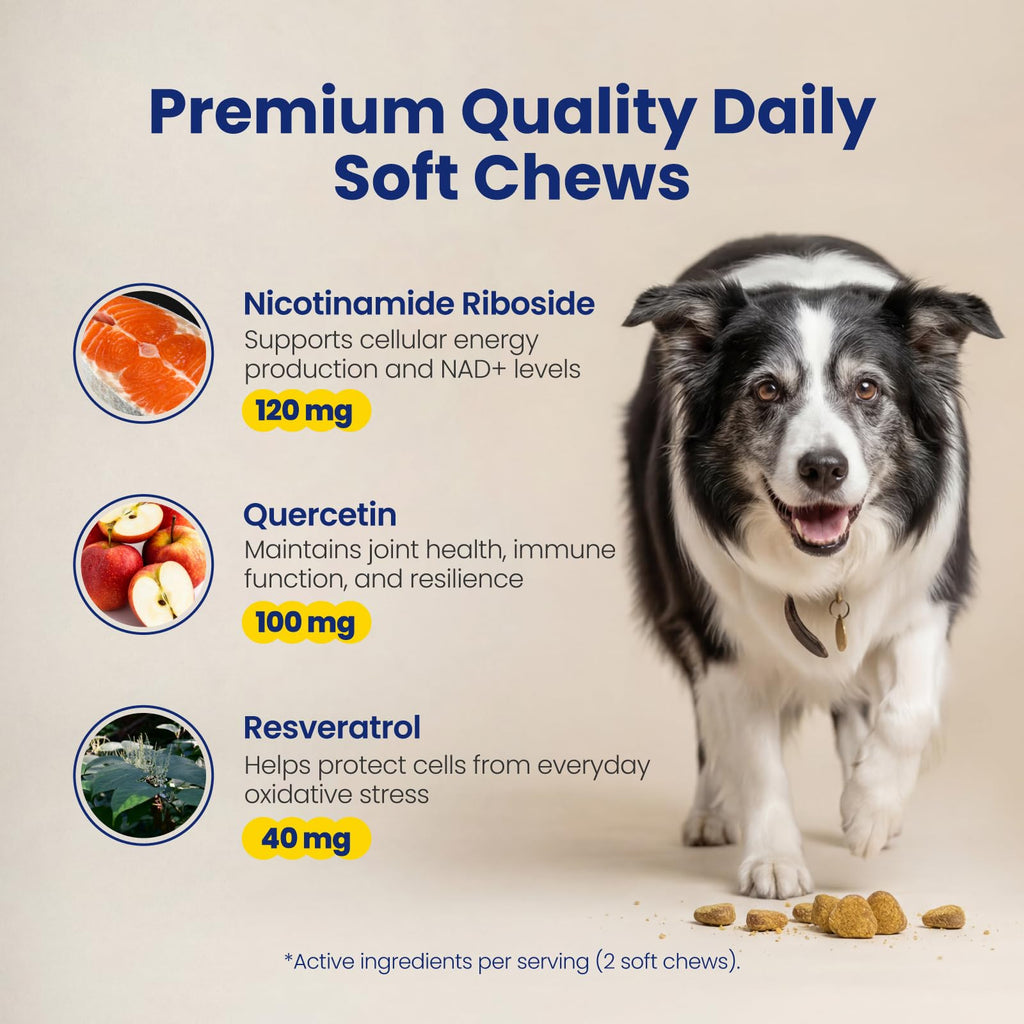 90 Soft Chews NAD+ Precursor Senior Dog Supplement I4976