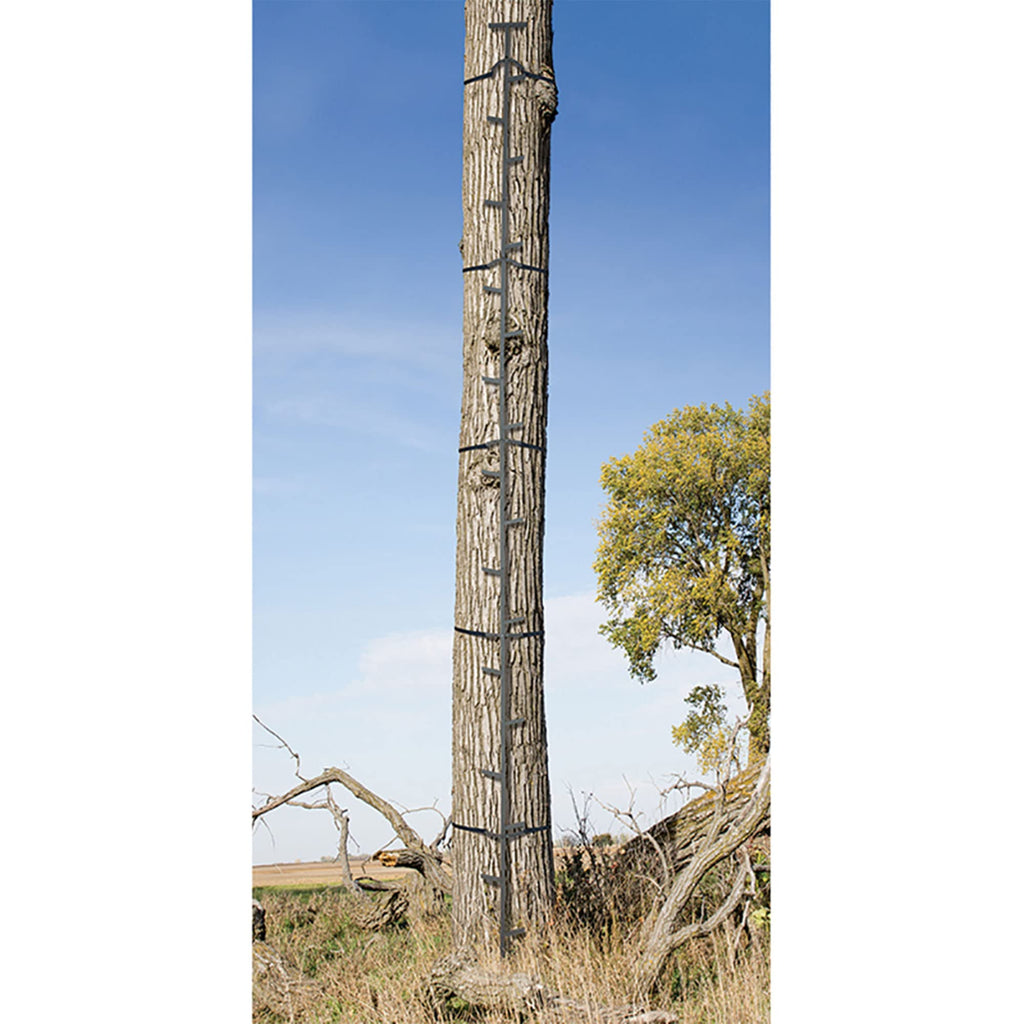 Climbing Ladder Sticks D1031