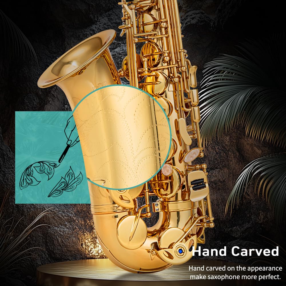 Student Beginner Eb Saxophone Kit R80950