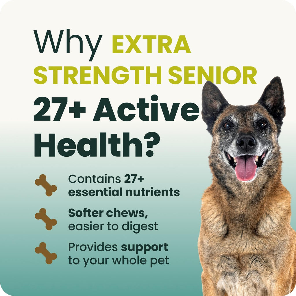 Senior Multivitamin for Dogs, 60 Count K5900