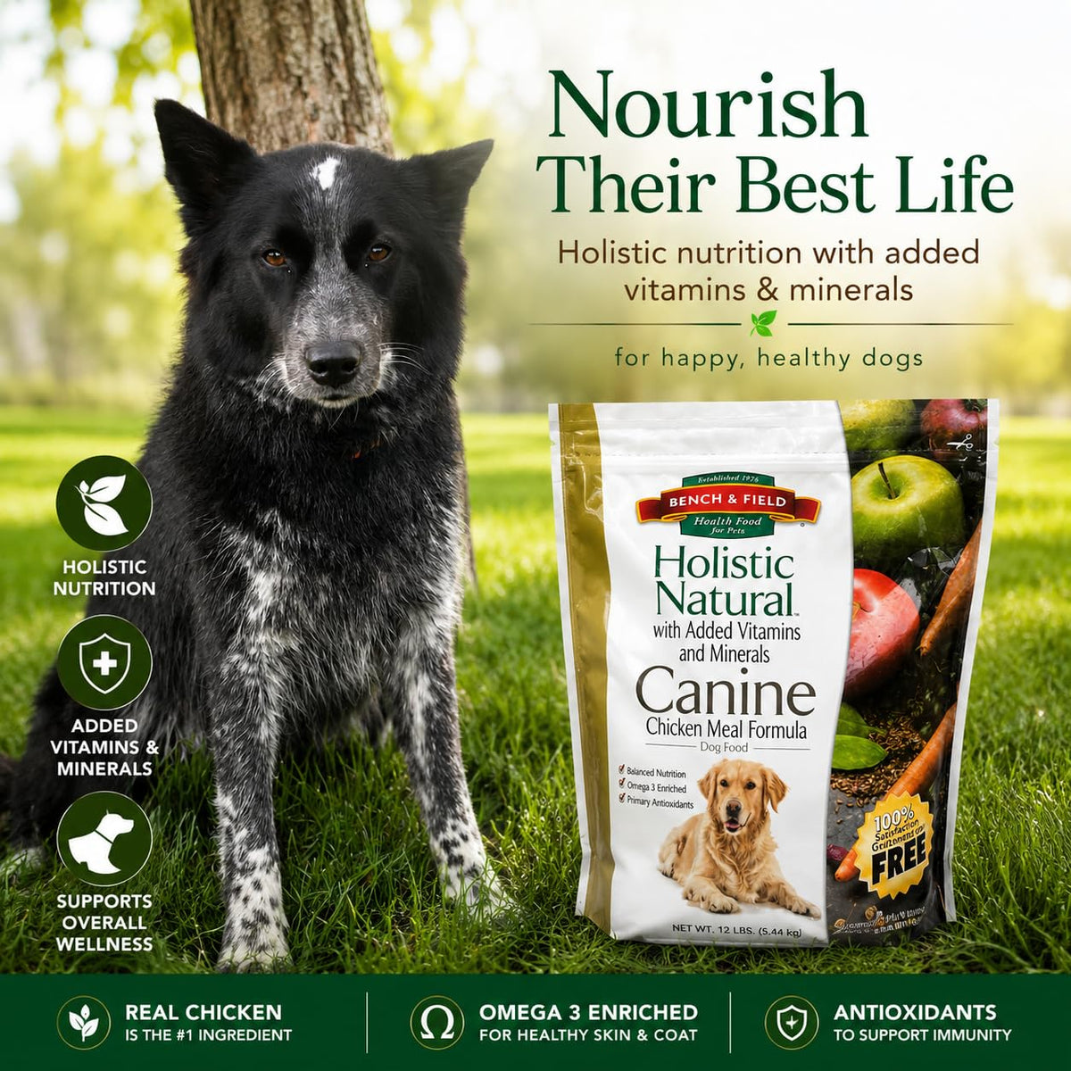 Chicken Meal & Brown Rice Dry Dog Food 6.6 lb U40438