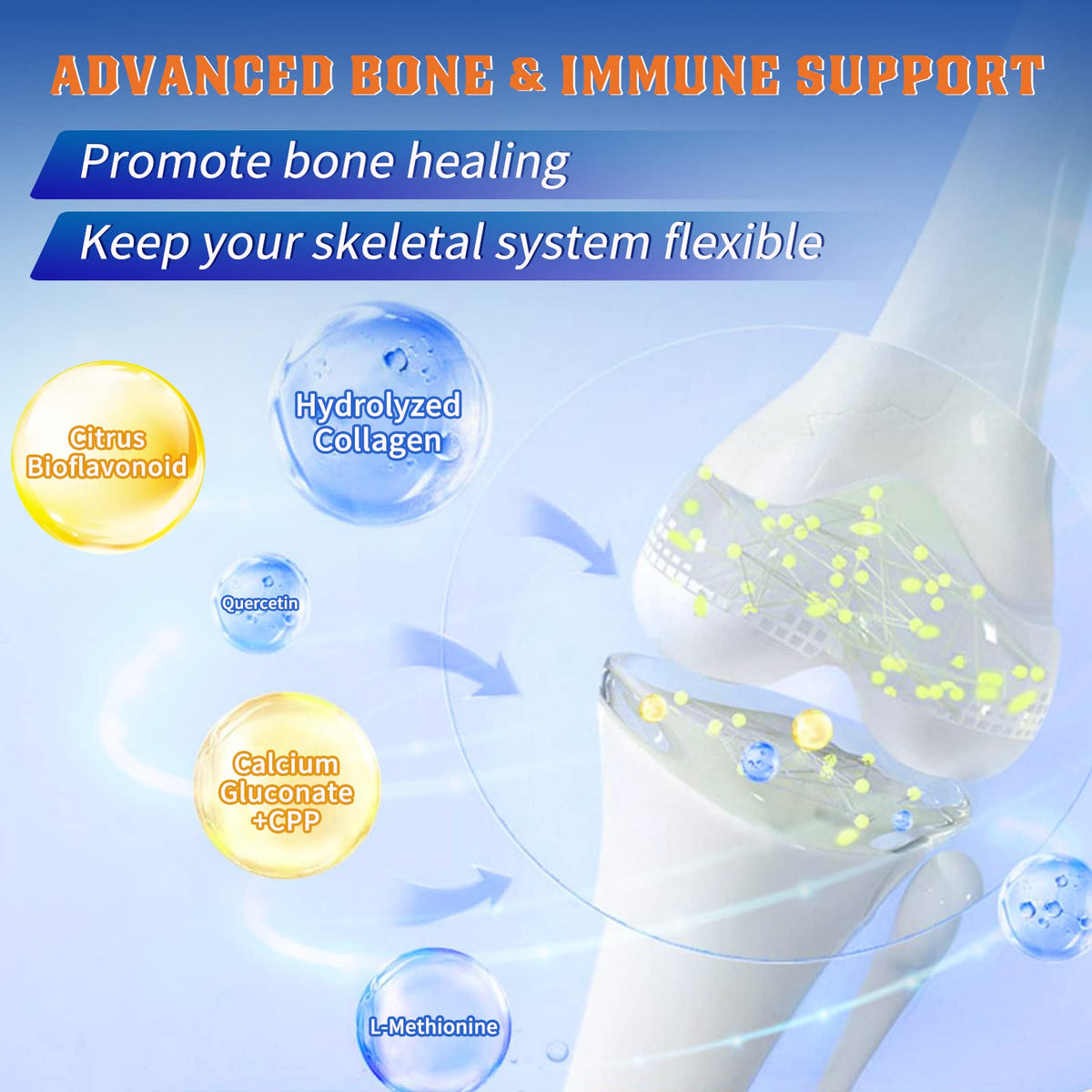 Probiotics with Glucosamine Chondroitin MSM Joint Support Supplement C610049