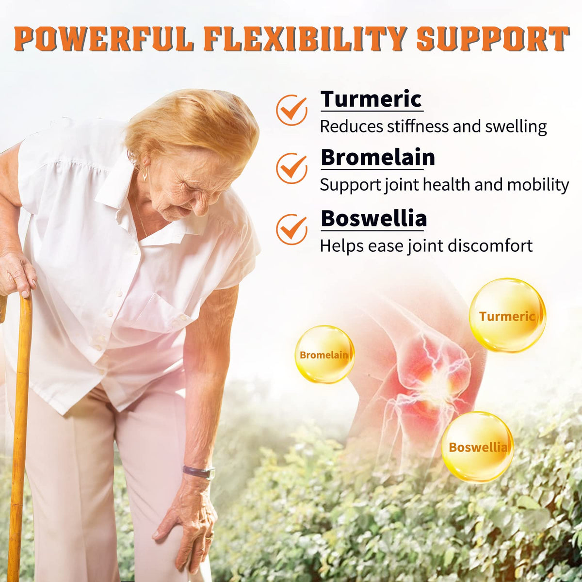 Probiotics with Glucosamine Chondroitin MSM Joint Support Supplement C610049