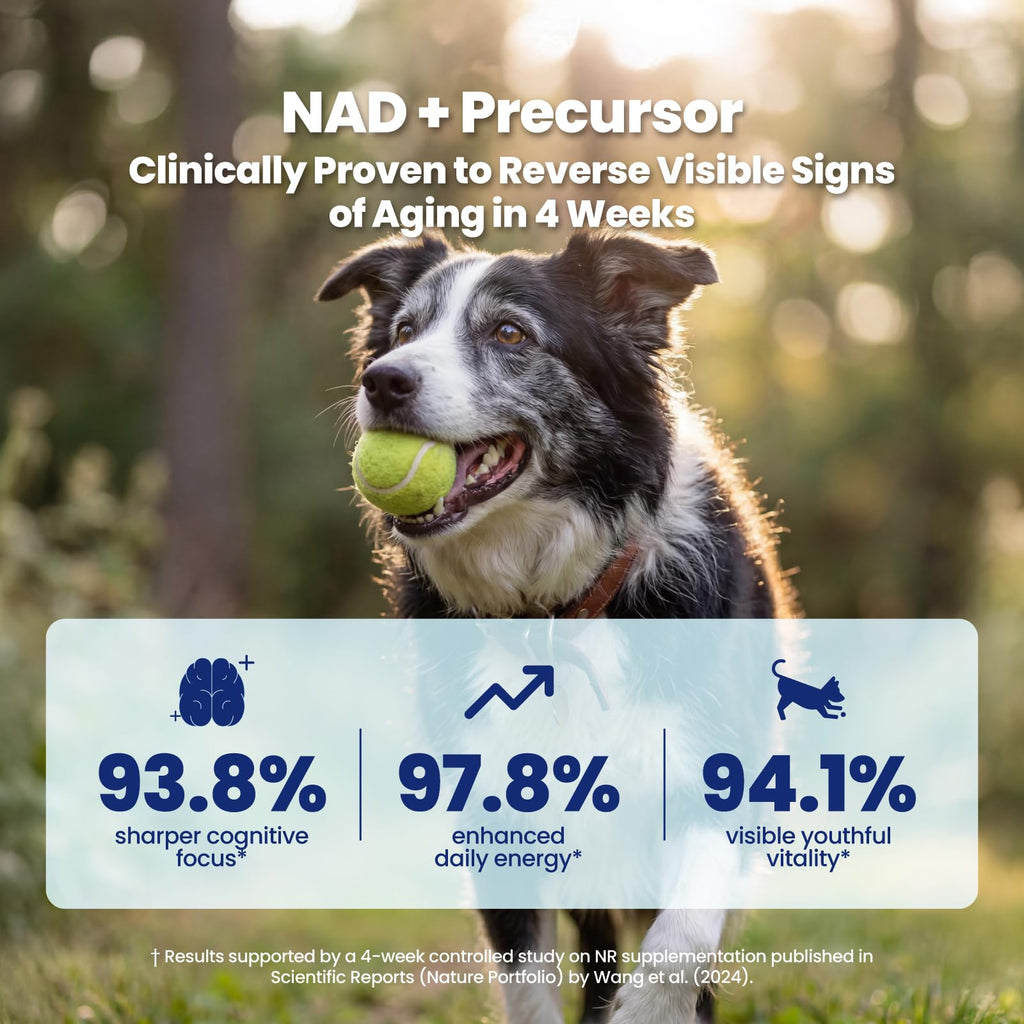 90 Soft Chews NAD+ Precursor Senior Dog Supplement I4976