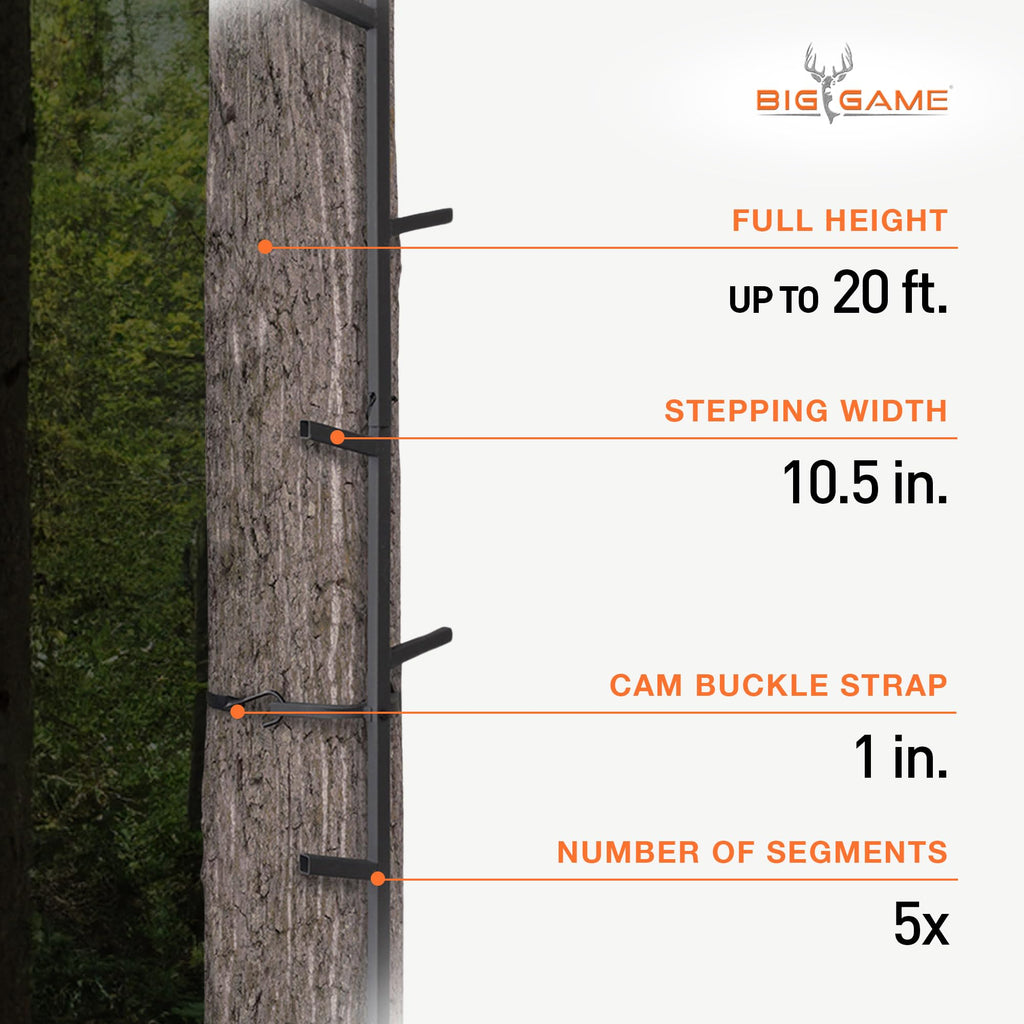 Climbing Ladder Sticks D1031