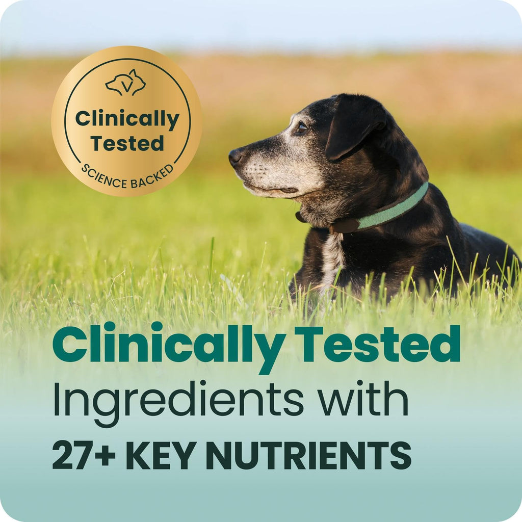 Senior Multivitamin for Dogs, 60 Count K5900
