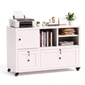 2 Drawer Mobile File Cabinet with Lock L25740