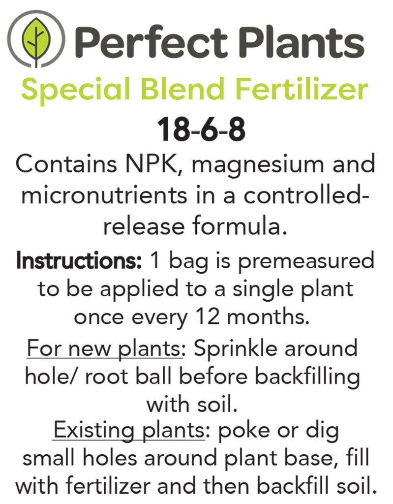 Frostproof Gardenia Live Plant 3 Gallon Pot L828019