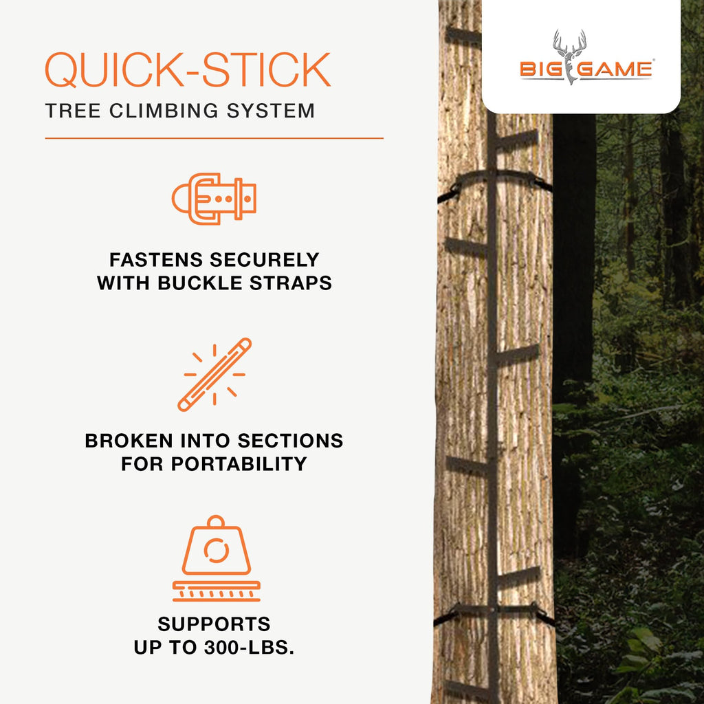 Climbing Ladder Sticks D1031