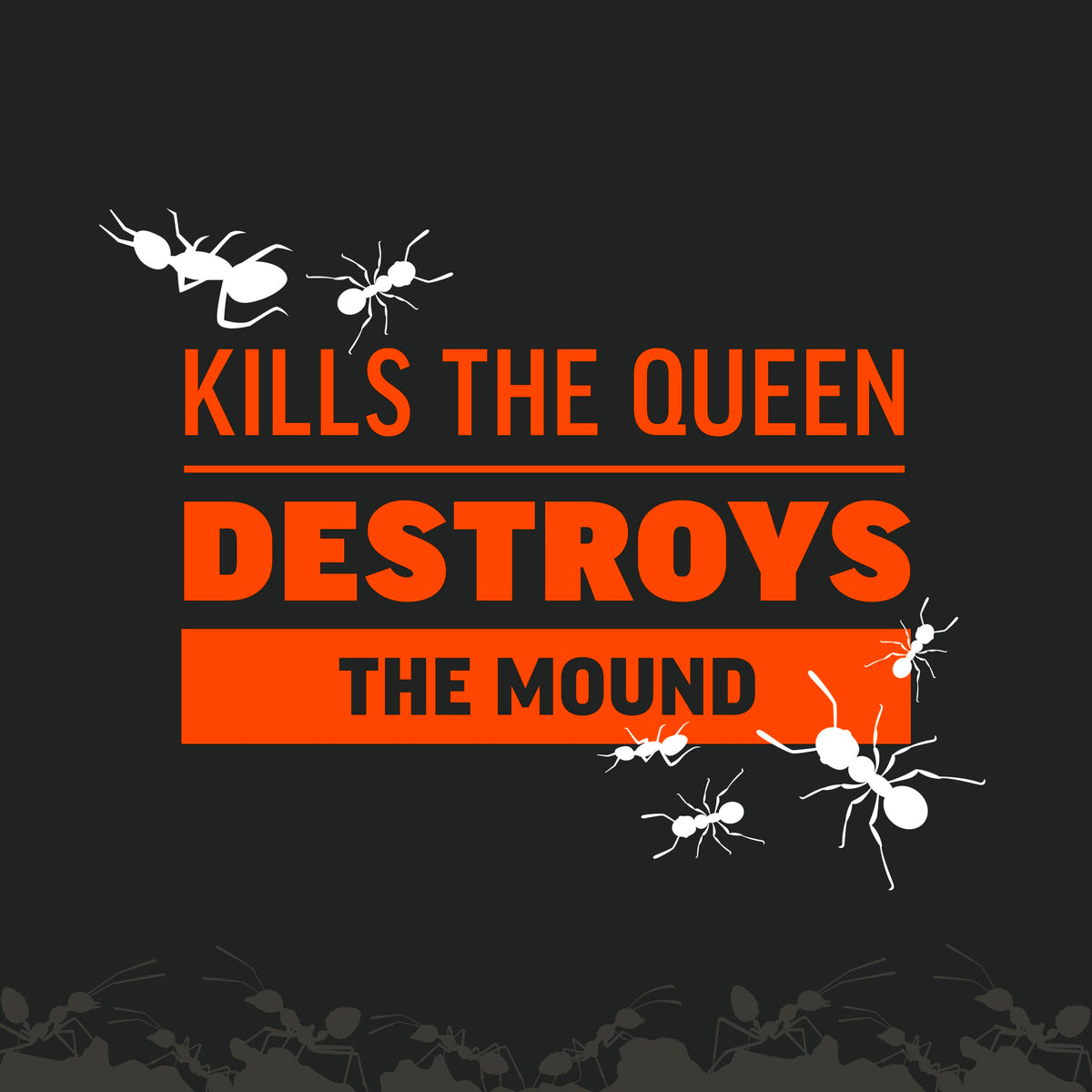 Fire Ant Killer for Mounds 1 Lb S248039