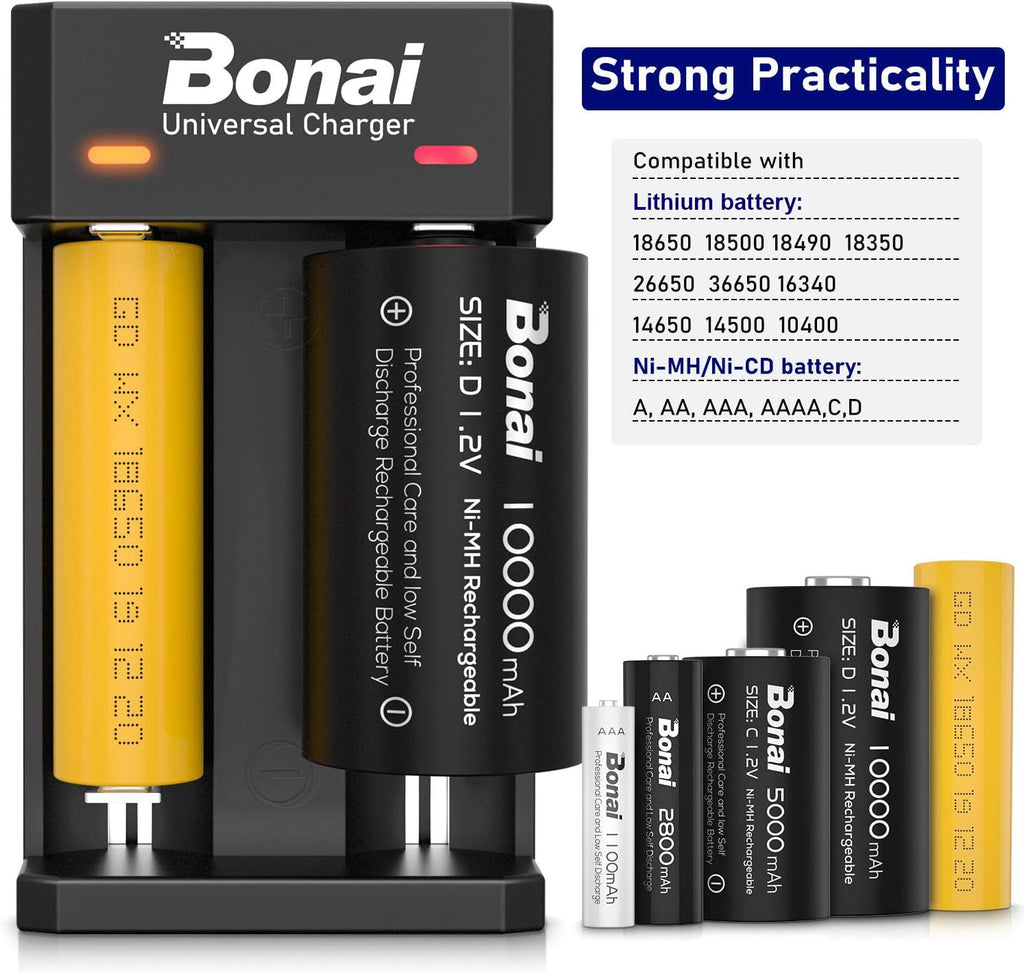 Battery Charger for AA AAA C D Rechargeable Batteries C811