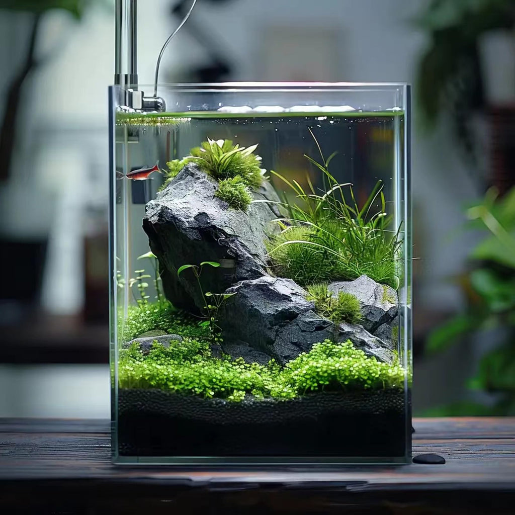 3 Gallon Glass Fish Tank F542557