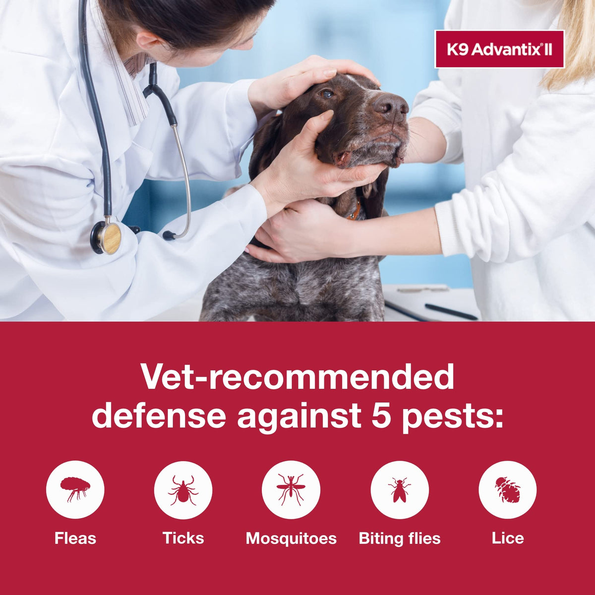 Flea, Tick & Mosquito Treatment & Prevention for Dogs Over 55 lbs U4775