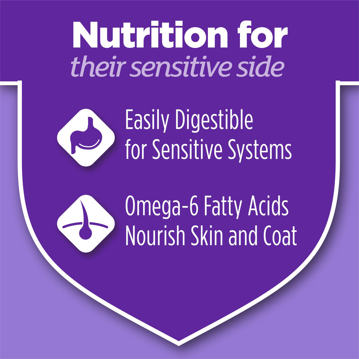 Sensitive Stomach & Skin Dry Cat Food 13 lb Bag J240017