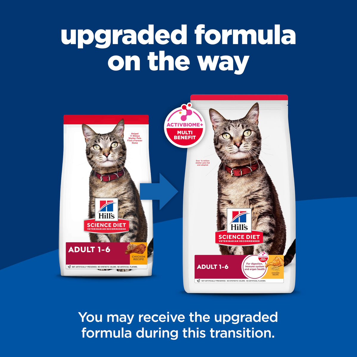 Dry Cat Food Q70189