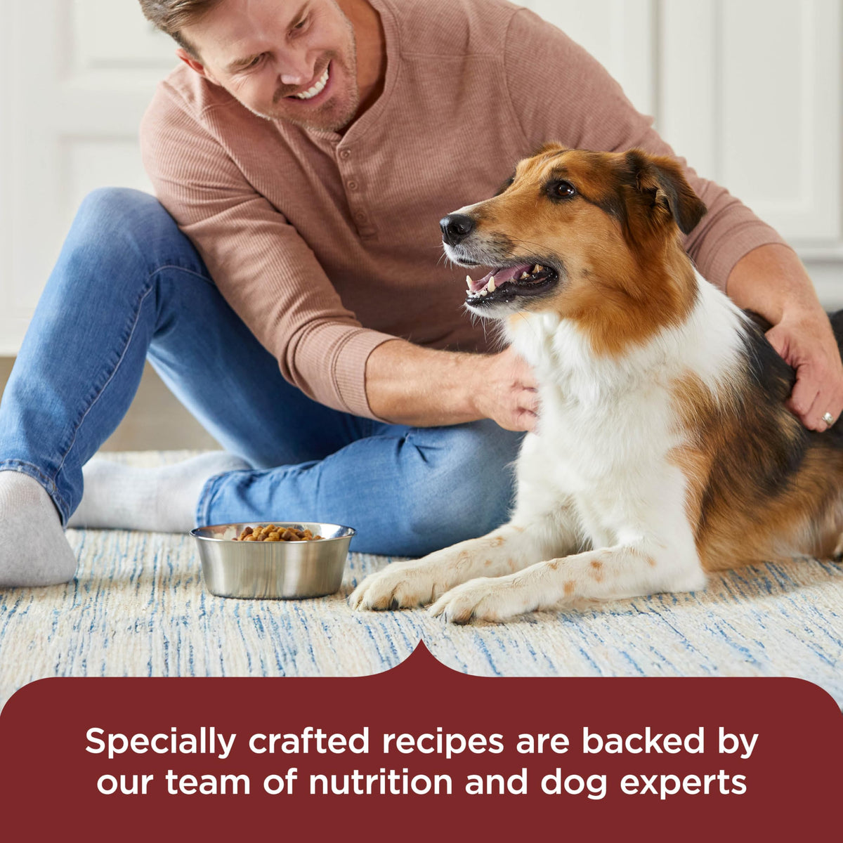 Dry Dog Food, Beef, Pea & Brown Rice, 40 lb. Bag F7190
