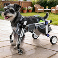 Dog Wheelchair for Small Dogs Y435097