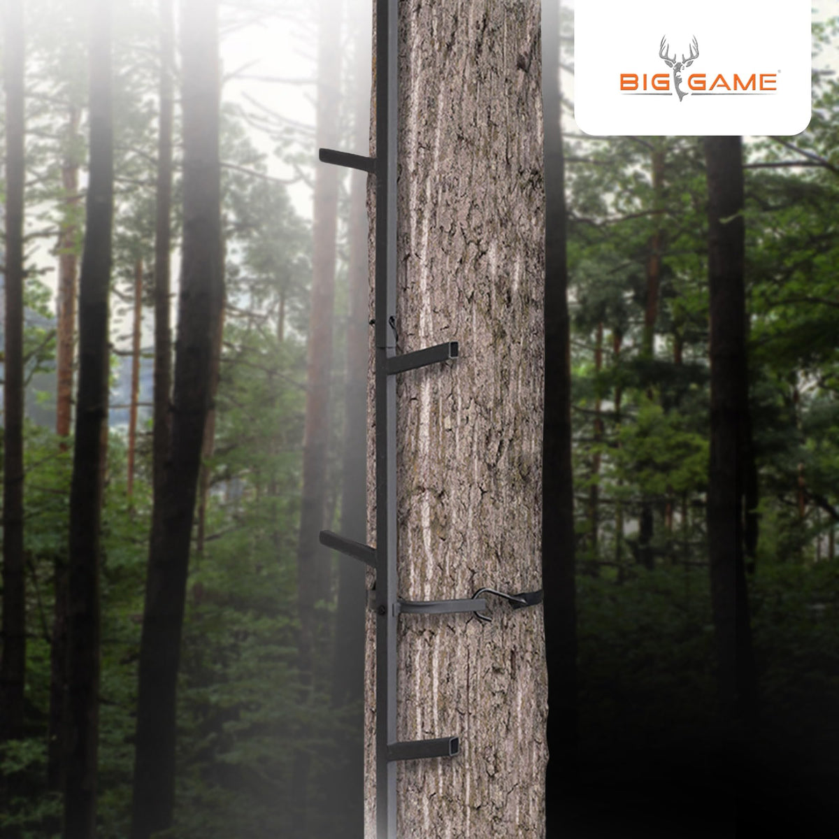 Climbing Ladder Sticks D1031