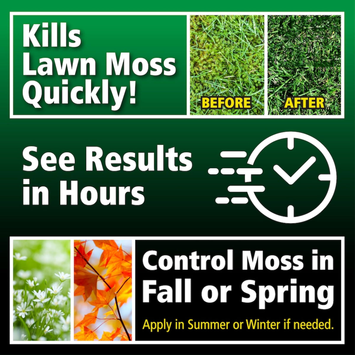 Moss Killer for Lawns Concentrate, 1 Gallon D474