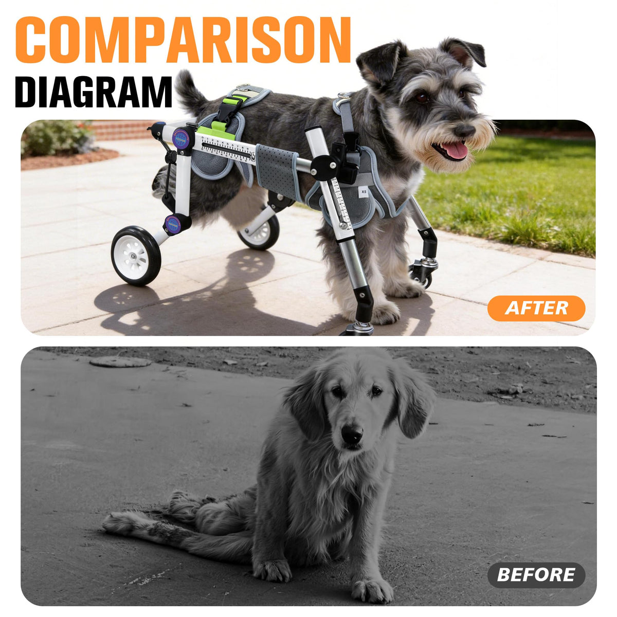 Dog Wheelchair for Small Dogs Y435097