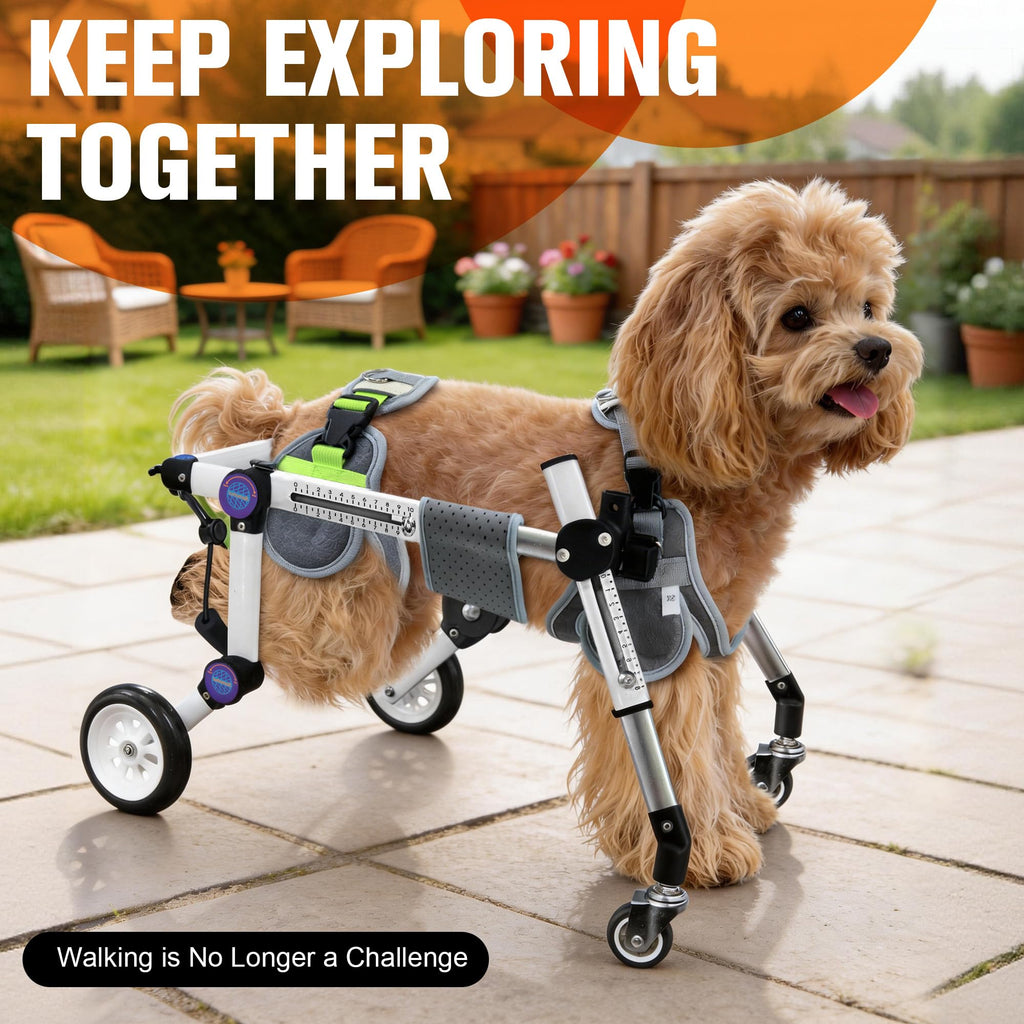 Dog Wheelchair for Small Dogs Y435097