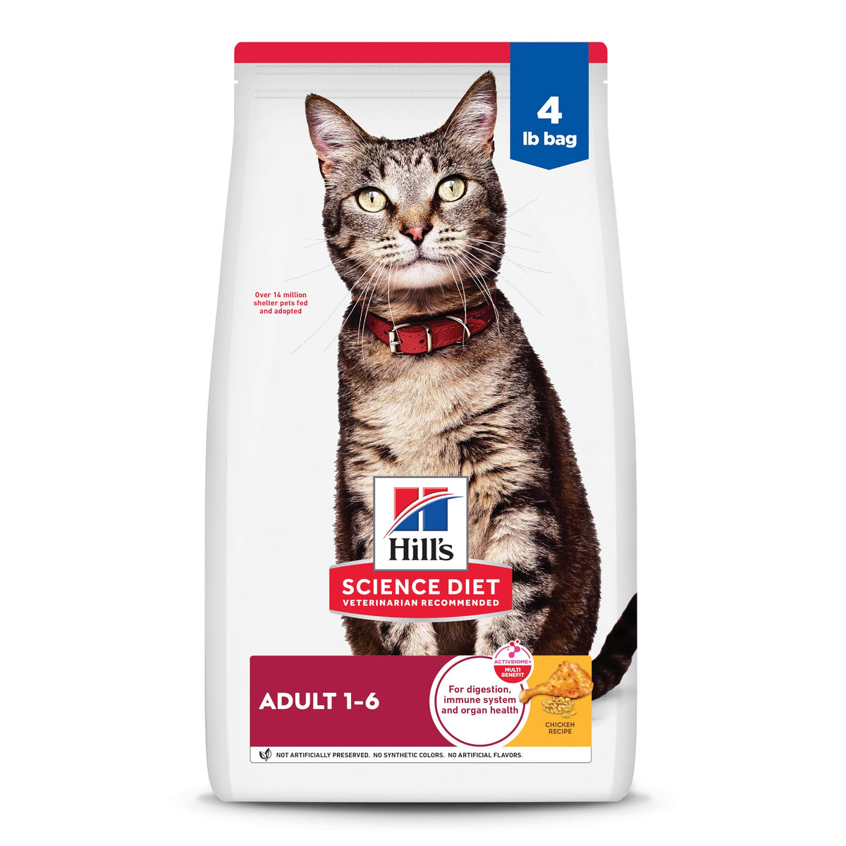 Dry Cat Food Q70189