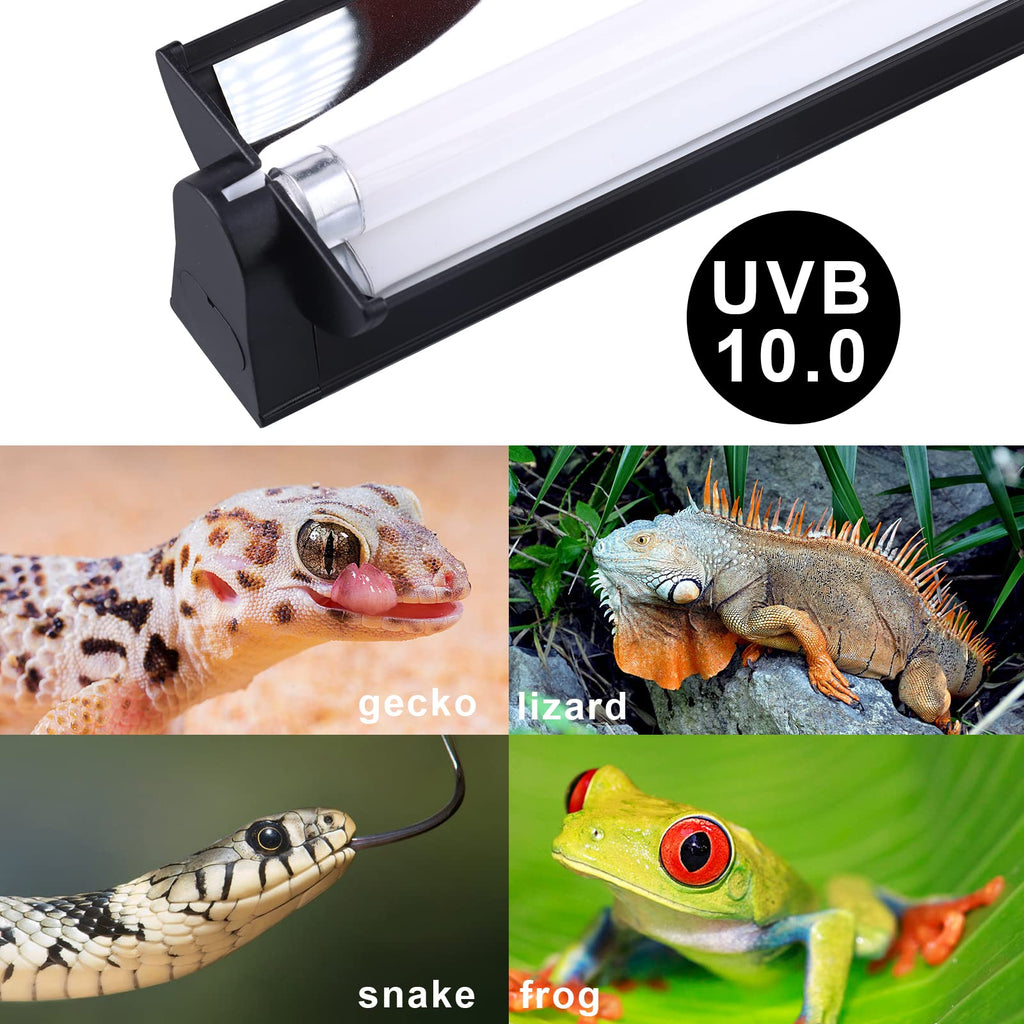 T5 UVB Lighting Combo Kit 22Inch 24W A539044