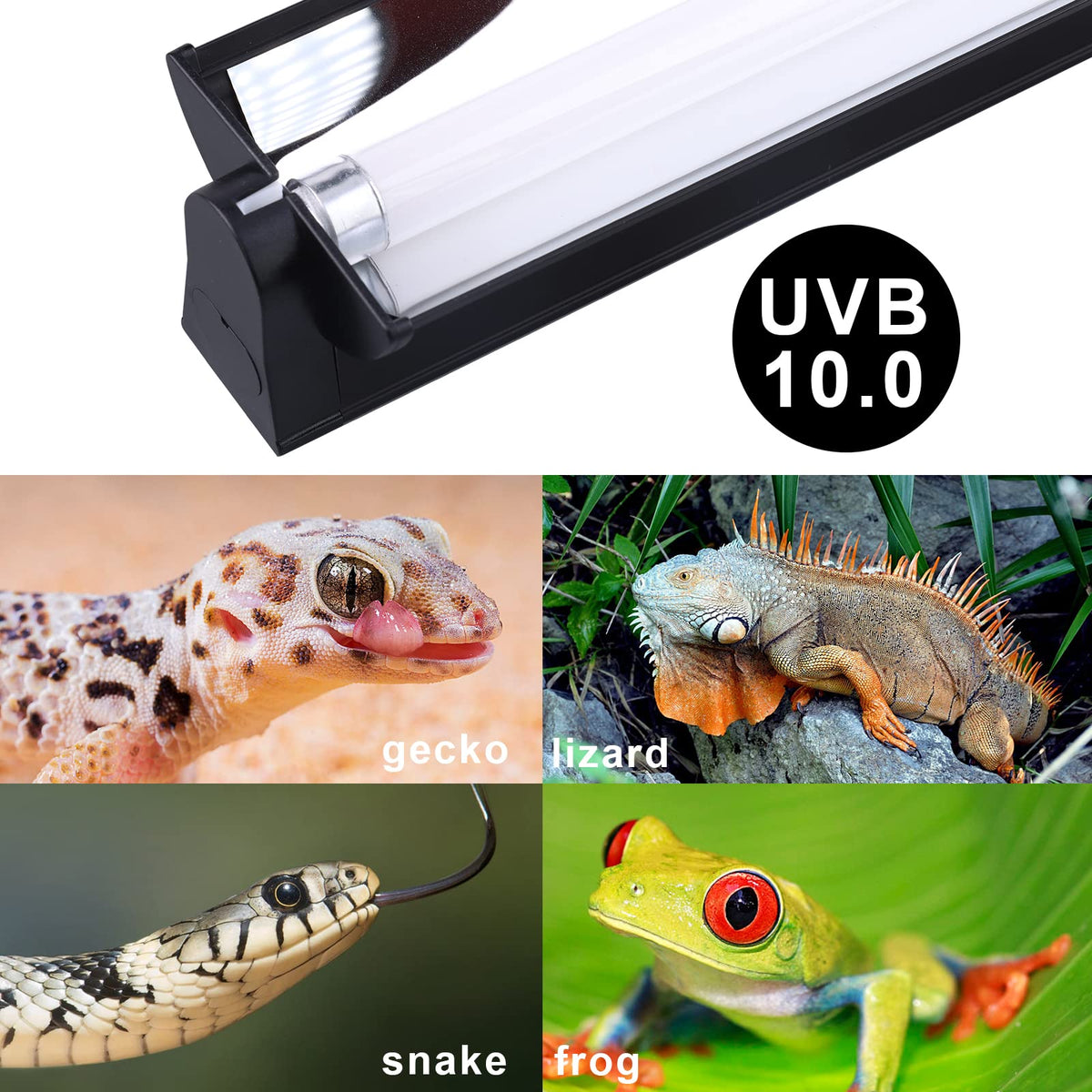 T5 UVB Lighting Combo Kit 22Inch 24W A539044