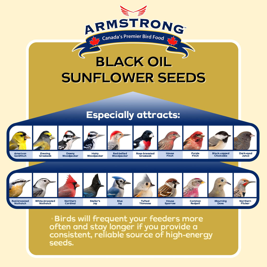 Black Oil Sunflower Bird Seed 25 Pounds U49226