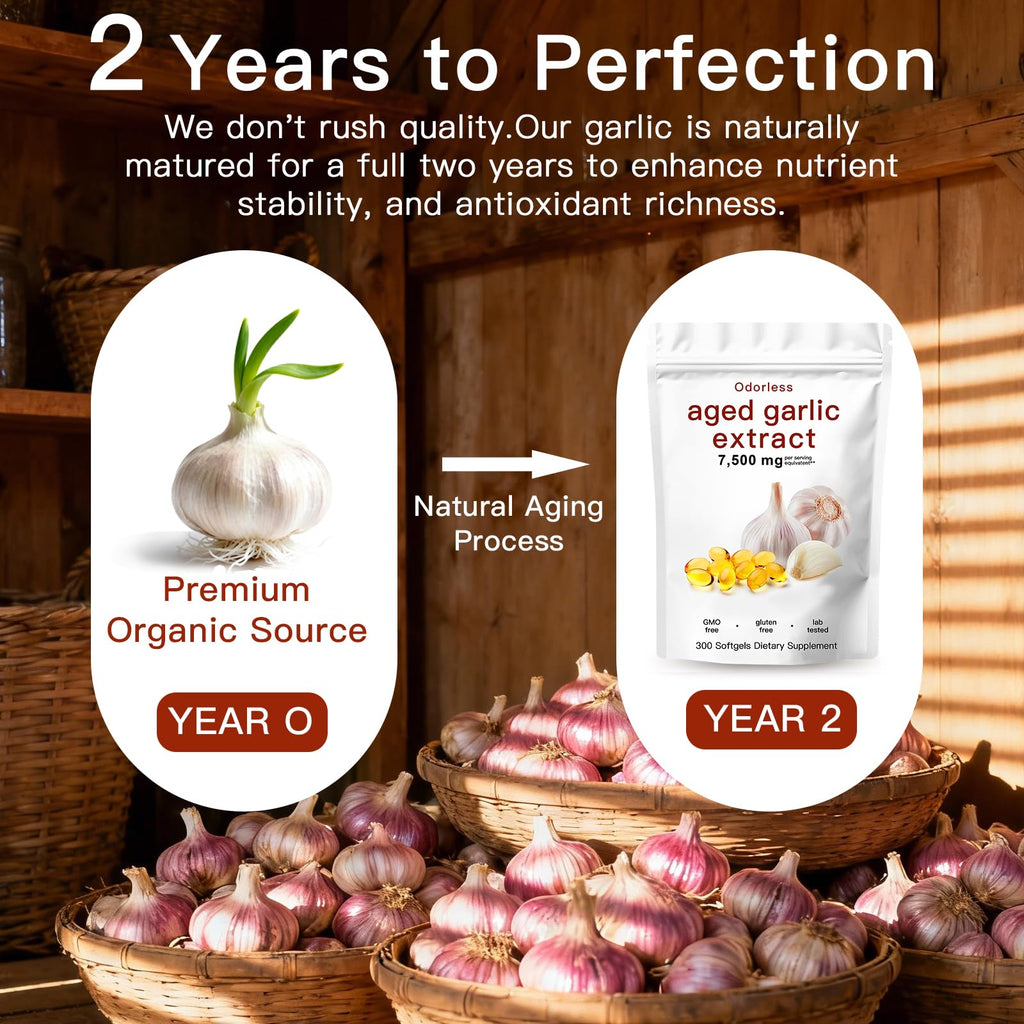Odorless Organic Aged Garlic Extract Capsules P20067