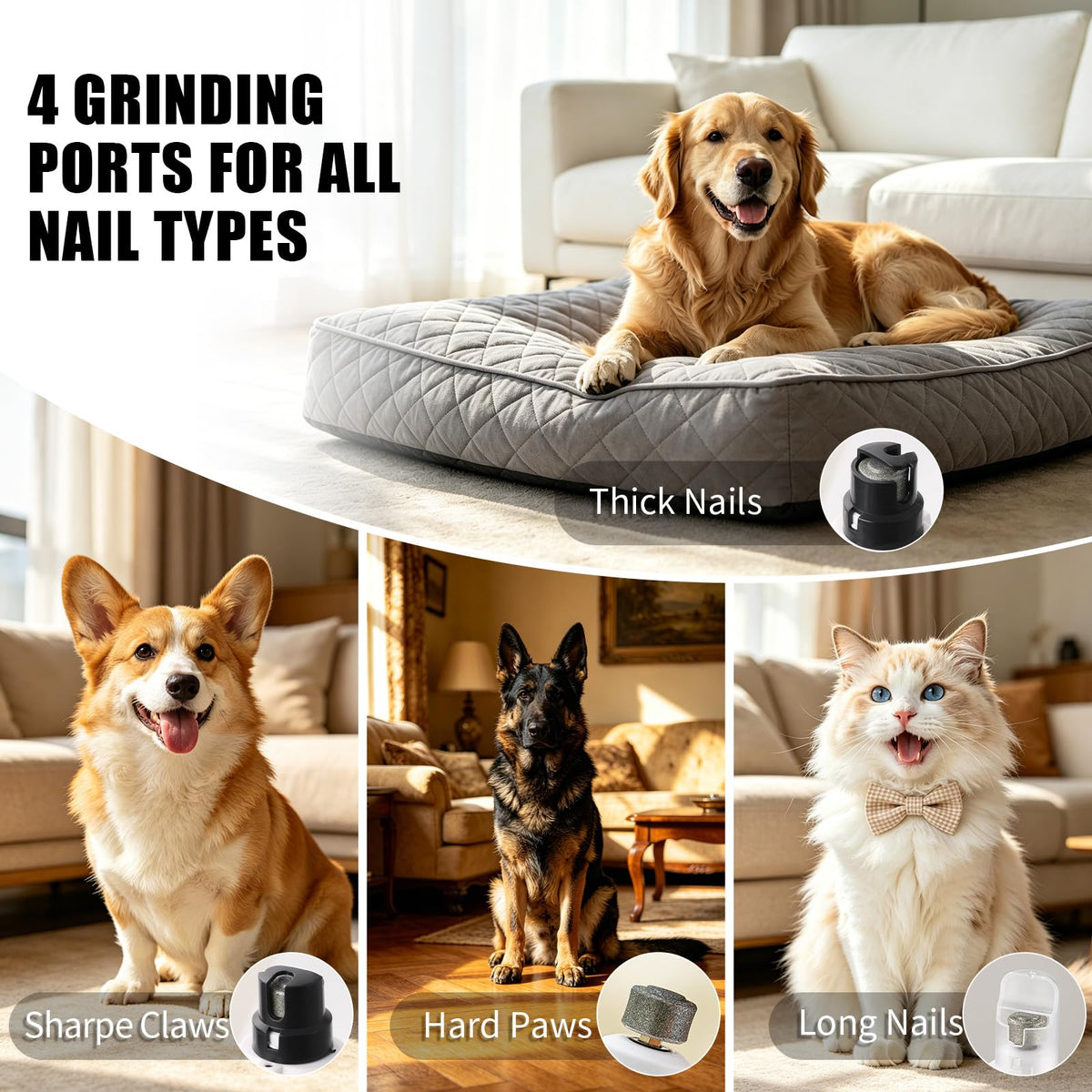 Dog Nail Grinder with LCD Screen, 6 Speeds, 4 Grinding Heads Z456602