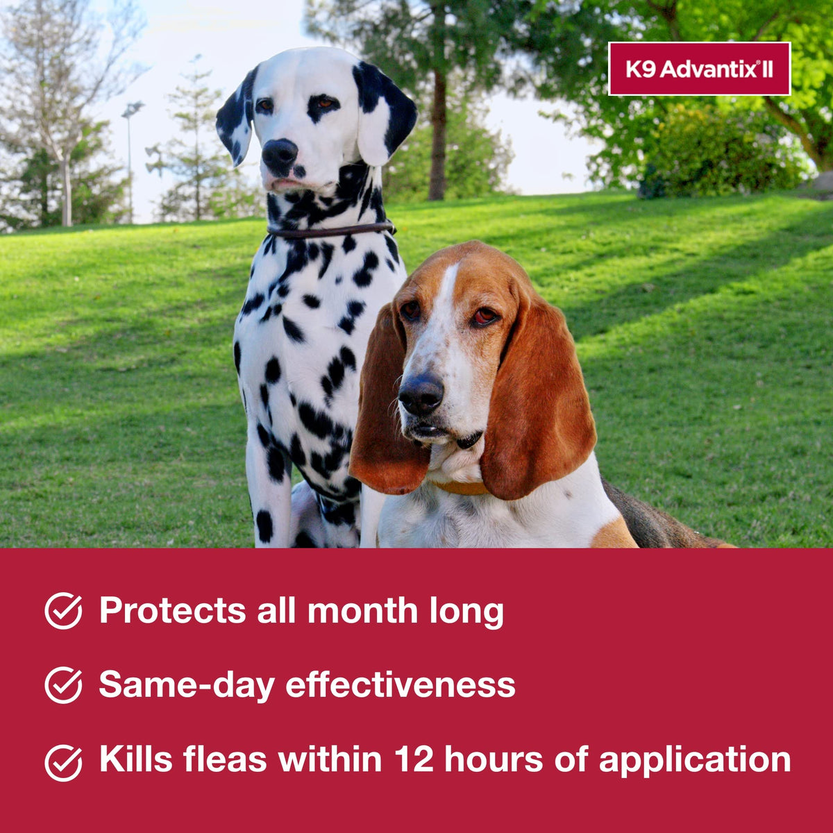 Flea, Tick & Mosquito Treatment & Prevention for Dogs Over 55 lbs U4775