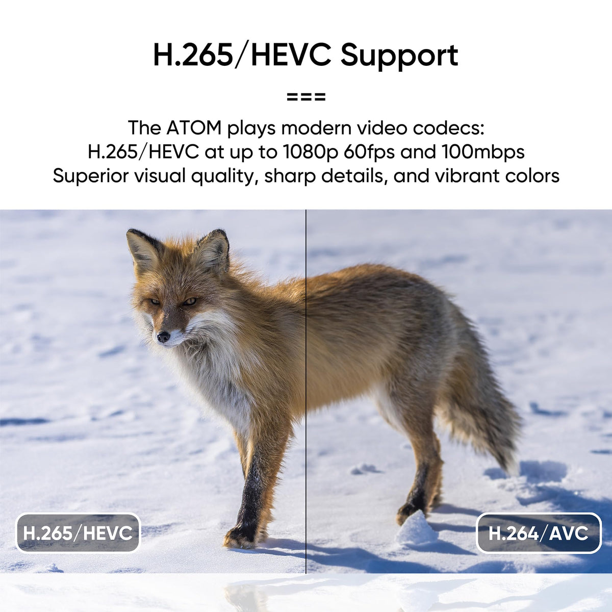 1080P Full-HD Digital Media Player Y4852