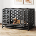 48 Inch Heavy Duty Dog Crate D783383