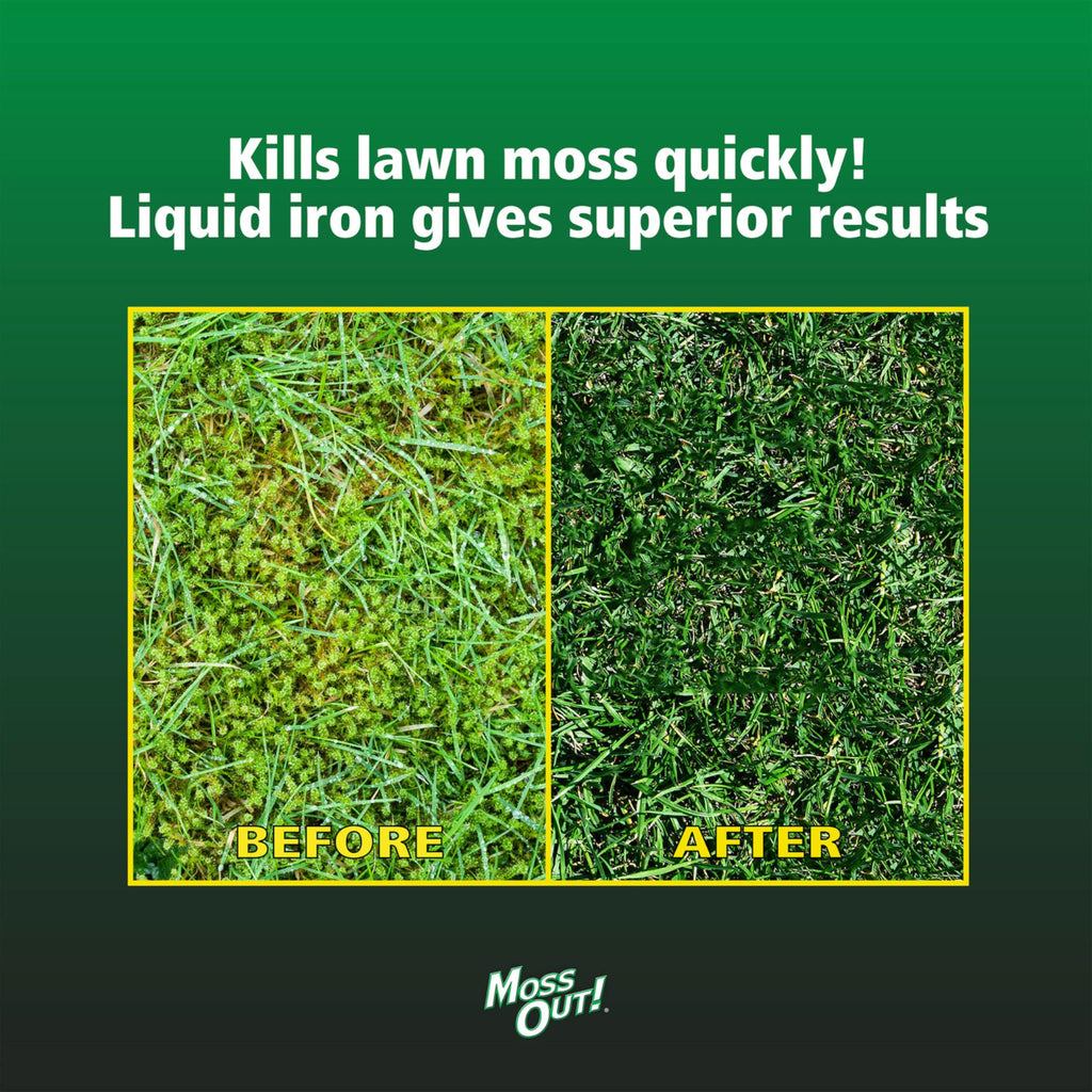 Moss Killer for Lawns Concentrate, 1 Gallon D474