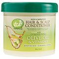 Olive Oil Hair & Scalp Conditioner 10-Ounce Jars Pack of 6 Q12447